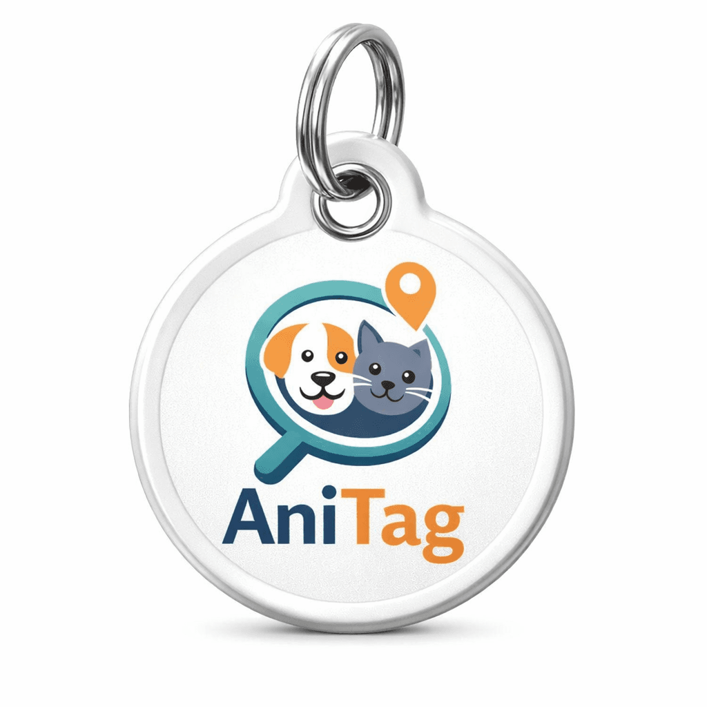 AniTag Smart QR Collar Tag attached to a pet collar